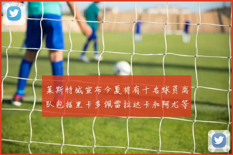 莱斯特城宣布今夏将有十名球员离队包括里卡多佩雷拉达卡和阿尤等人